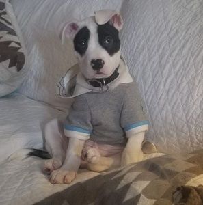 Meet your Posher, Jay